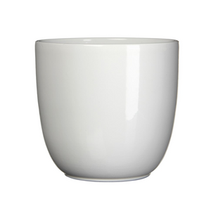 White Tusca Shiny Pot