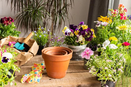 The Top 12 Tips for Creating a Beautiful Balcony Garden