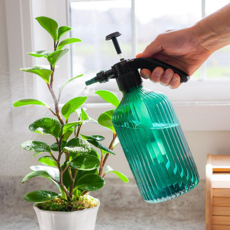 Plant Care Products