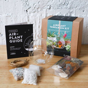 Terrarium Kit: Hanging Air Plant