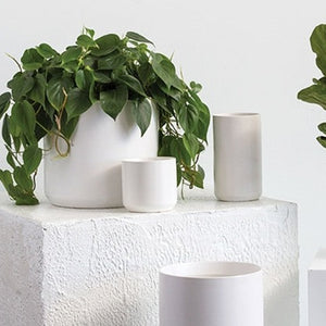 White Kendall Pot 2"