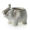 Elephant Pot 2"