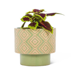 Green T-Shaped Planter 5"