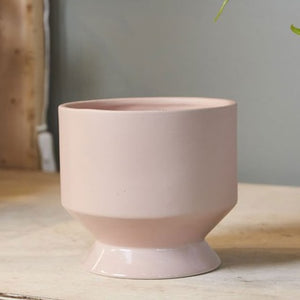 Pink Pasadena Planter 6"