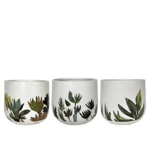 mojave indoor plant Mojave Pot | Indoor Plant Pots