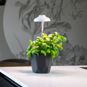 Plant Grow Lamp