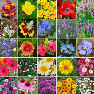 Heirloom Flower Seed Mix