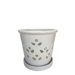 6" White Laelia Pot with Saucer