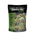 Cactus Soil (6L)