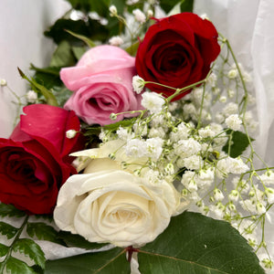 Long Stem Roses (Boxed)
