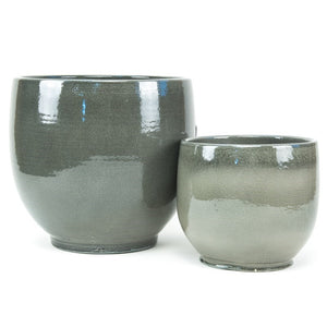 Moss Brany Planter