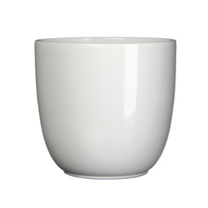 White Tusca Shiny Pot 3"