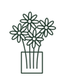 12 Roses (As Shown)