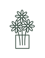 12-roses