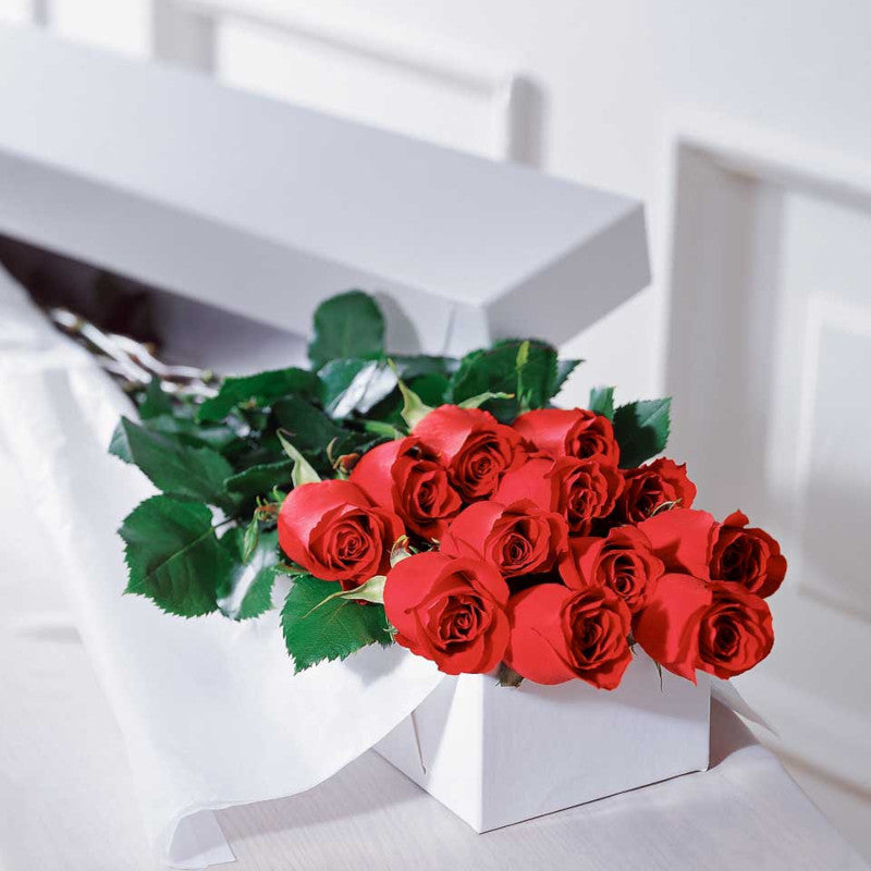 Long Stem Roses (Boxed)