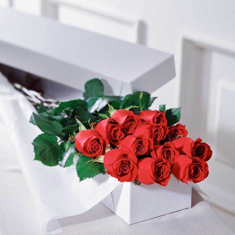 50 Long Roses Long Stem Roses | Scrim’s Florist – Scrim's Florist